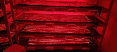 Shenzhen Mei Hui Optoelectronics Co., Ltd línea de producción del fabricante