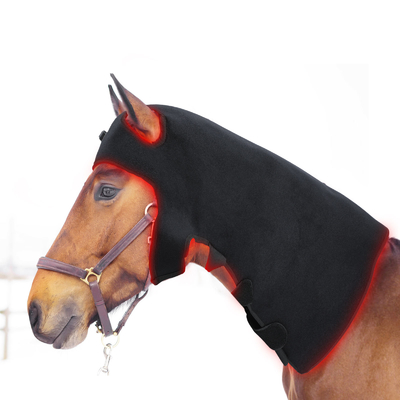 comprar La lámpara ligera infrarroja Pdt del caballo de la terapia llevó la máquina ligera para el retiro del dolor fabricación en línea