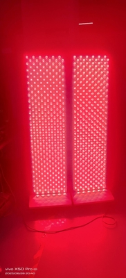 comprar Salud Panel de luz roja 660nm 850nm Terapia de luz roja para todo el cuerpo fabricación en línea