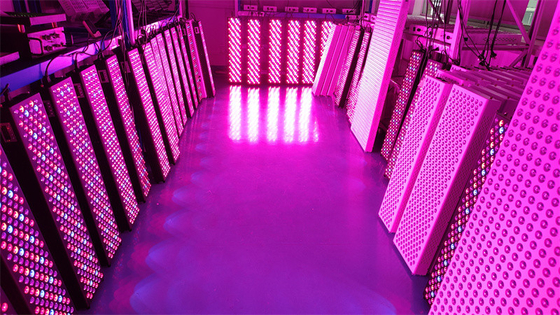 comprar Panel de terapia de luz roja de cuerpo entero de alta potencia de 1000W con rango de frecuencia de 50Hz-60Hz y ángulo de haz de 60° fabricación en línea