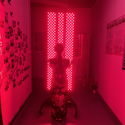 comprar 660nm 850nm máquinas de terapia de luz roja para aliviar el dolor y la regeneración de tejidos fabricación en línea