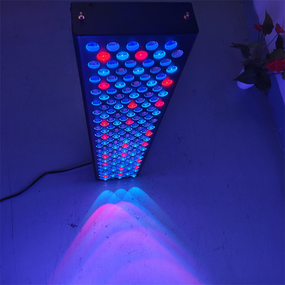 comprar Dispositivos profesionales de terapia de luz roja de longitud de onda personalizada fabricación en línea