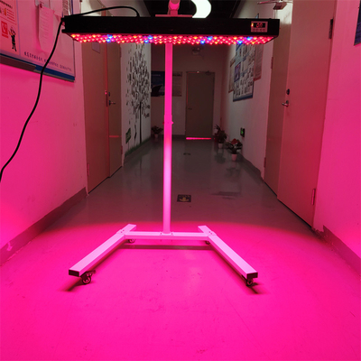 comprar Dispositivo de terapia de luz PDT de infrarrojos de 300-6000W OEM/ODM 8 longitudes de onda Modelo de uso de cuerpo completo fabricación en línea
