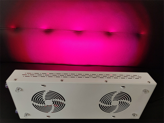comprar 600w Cuidado del cuerpo Dispositivo de terapia de luz roja Red Nir Espectro personalizado para una piel impecable fabricación en línea