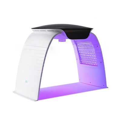 comprar Máquina facial portátil de 7 colores LED Pdt Terapia de luz LED Nano Spray de agua Fototerapia Máquina de belleza con voltaje AC110-240V fabricación en línea