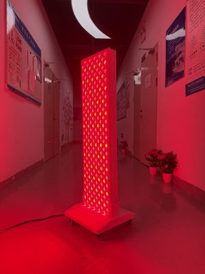 comprar High Power 2000W Red + Near Infrared Light Panel – OEM Factory with Pulse Mode & Brightness Control fabricación en línea