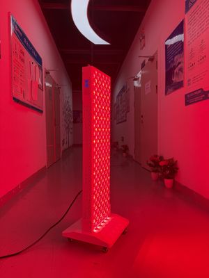 comprar OEM Factory Supply 2000W Red Light Therapy Panel – 630/660/810/830/850nm Wavelength Options fabricación en línea