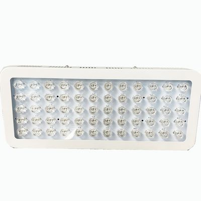 comprar luz roja de 300W 850nm y acercar a la terapia ligera infrarroja para el dolor de la rodilla fabricación en línea