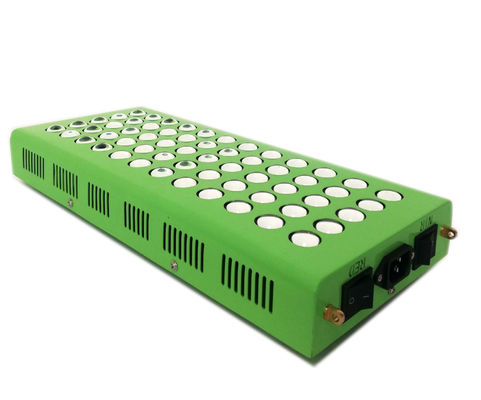 comprar terapia ligera infrarroja antienvejecedora de 300w 660nm 850nm para el dolor de la rodilla fabricación en línea