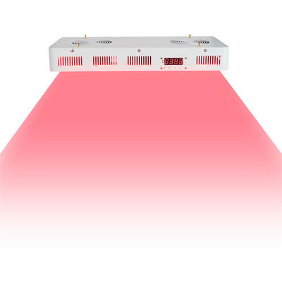 comprar Grado médico 2 en 1 nanómetro infrarrojo de la terapia física 660nm 850 fabricación en línea