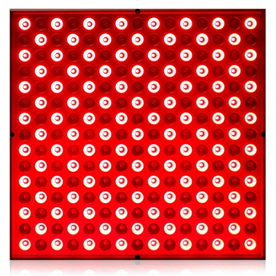 comprar el panel ligero rojo 850nm infrarrojo de la terapia de 45W LED combinado para el ajuste de la piel fabricación en línea