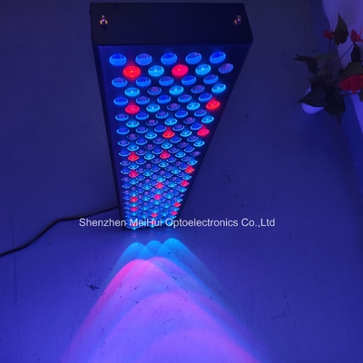Dispositivos para el tratamiento de la piel con luz roja para uso doméstico de 1000W espectro de 9 colores