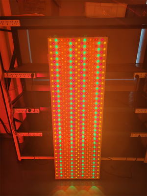 6000w de 9 longitudes de onda 535 590 610 630 660 810 830 850 1060Nm Panel de luz LED para cuerpo completo