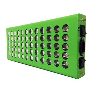 El dispositivo ligero rojo 5W de la terapia del cuerpo completo antienvejecedor salta 60 grados