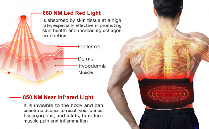 Correa ligera infrarroja del abrigo del cojín de cuerpo de la máquina de la terapia de la luz de la pérdida de peso 850nm LED 0