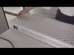 Panel de terapia de luz roja de 600W