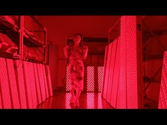 Panel de terapia de luz roja de 3000w