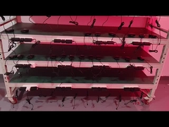 El cinturón de tratamiento de luz roja Lipo 660nm 850nm