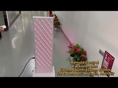 1500W Panel de terapia de luz roja 660 850nm Dispositivo de terapia de luz NIR con soporte