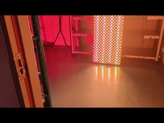 Cuerpo completo 6000w Infrarrojos de luz LED de la luz de la terapia de la máquina para la piel