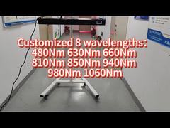 Terapia de luz LED de cuerpo completo de 660 nm 850 nm 1000w Uso comercial y doméstico